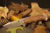 How To Choose The Best Survival Knife