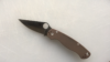 Spyderco Paramilitary 2 (PM2) Pocketknife