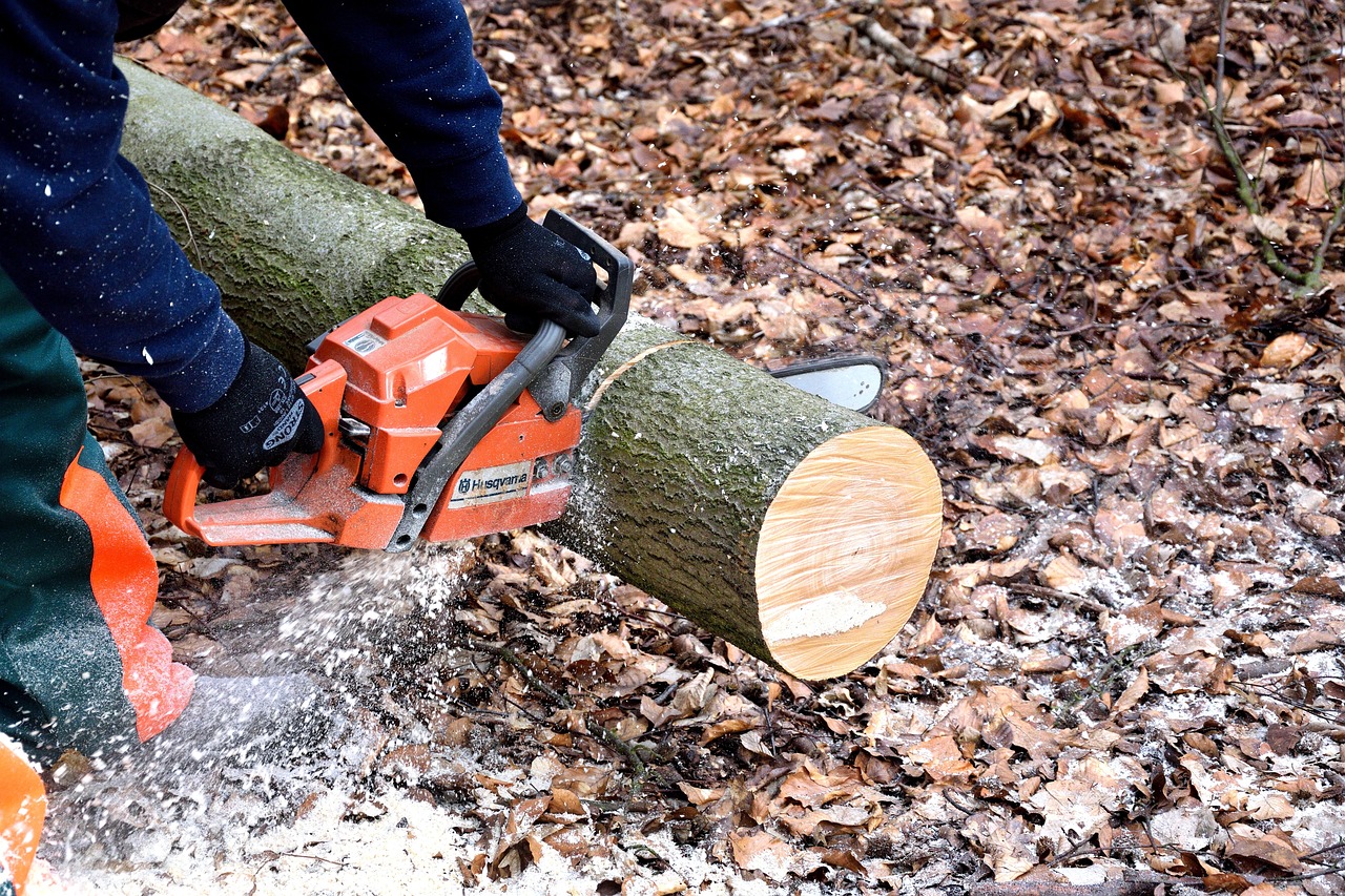 An image showcasing a compact survival chain saw in action: a hiker effortlessly sawing through thick branches amidst a lush forest, the tool's lightweight design and durable construction evident
