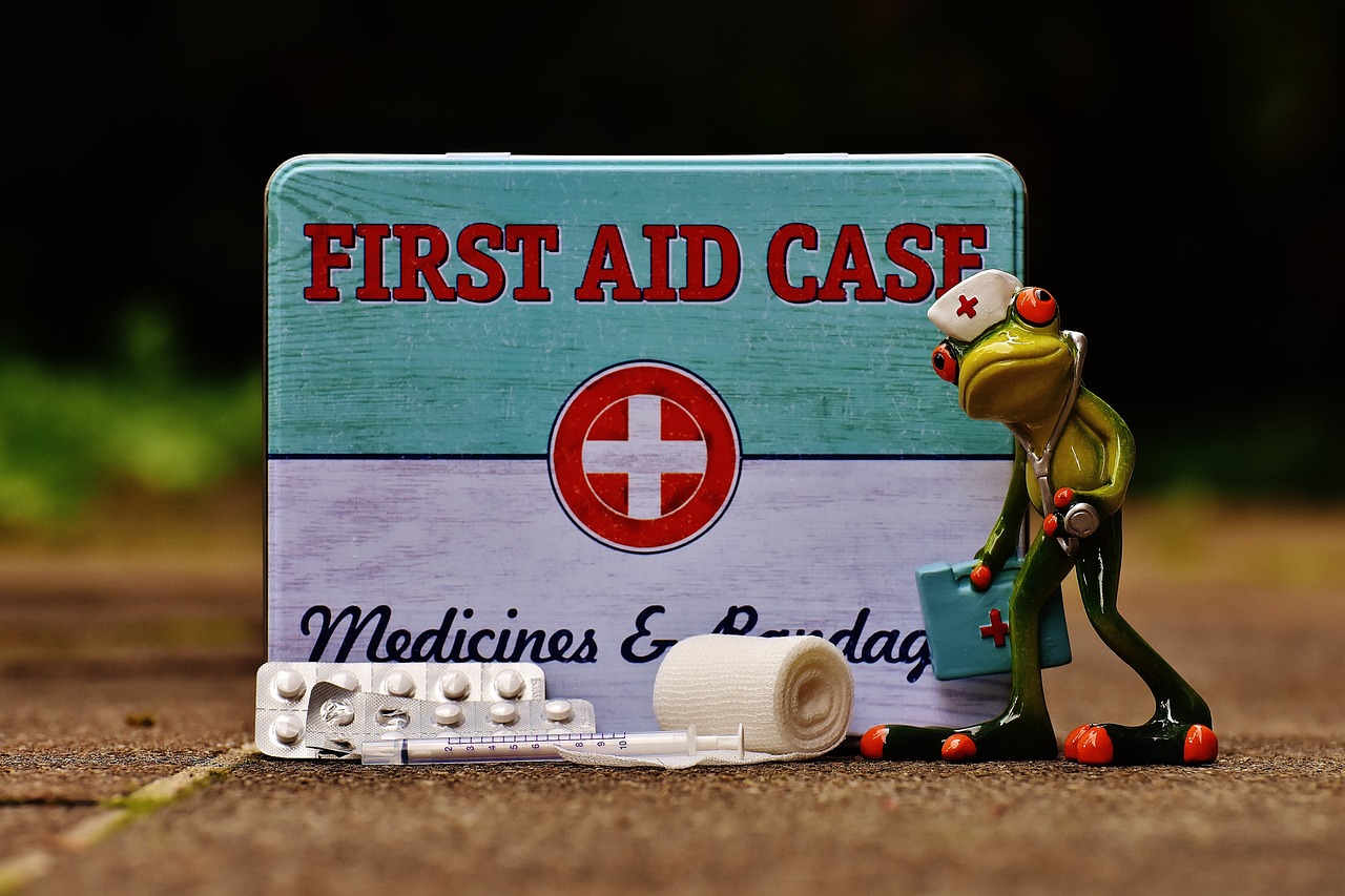 An image showcasing the Surviveware Survival First Aid Kit: a sturdy, compact bag bursting with essential medical supplies, including bandages, CPR masks, splints, and antiseptic wipes, ensuring preparedness for any emergency